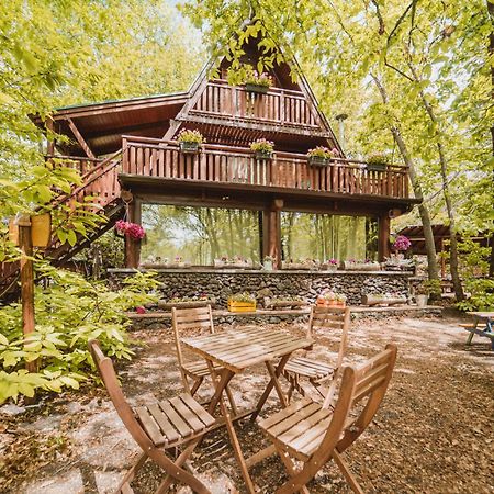 Matilde'S Chalet Etna Nature House Nicolosi Luaran gambar