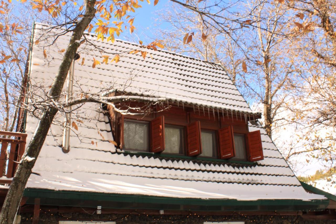 Matilde'S Chalet Etna Nature House Nicolosi Luaran gambar