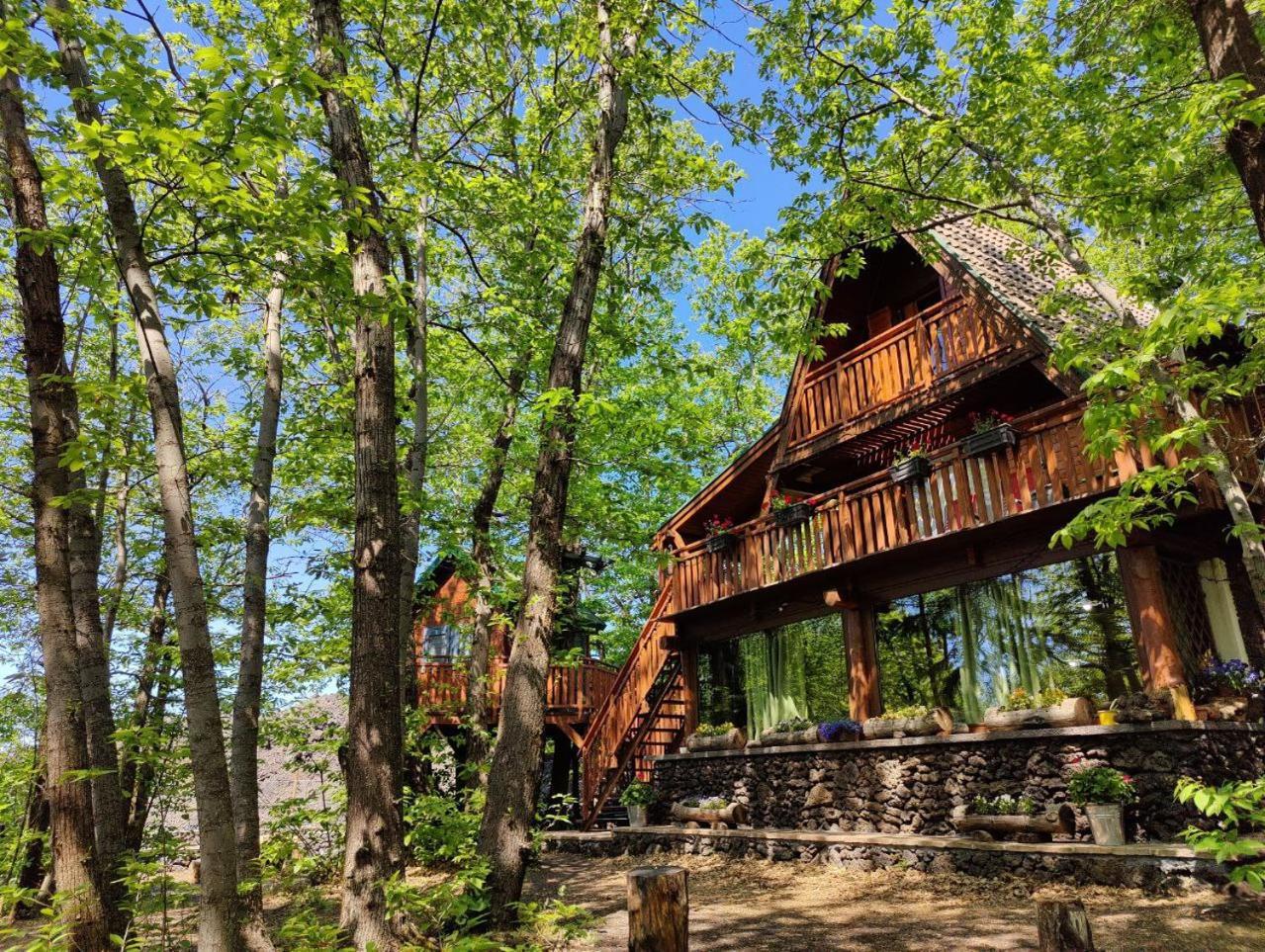Matilde'S Chalet Etna Nature House Nicolosi Luaran gambar